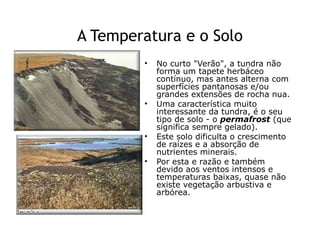 A Temperatura e o Solo
        •   No curto "Verão", a tundra não
            forma um tapete herbáceo
            contínuo, mas antes alterna com
            superfícies pantanosas e/ou
            grandes extensões de rocha nua.
        •   Uma característica muito
            interessante da tundra, é o seu
            tipo de solo - o permafrost (que
            significa sempre gelado).
        •   Este solo dificulta o crescimento
            de raízes e a absorção de
            nutrientes minerais.
        •   Por esta e razão e também
            devido aos ventos intensos e
            temperaturas baixas, quase não
            existe vegetação arbustiva e
            arbórea.
 