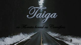 ou Floresta boreal ou Cornifera
 