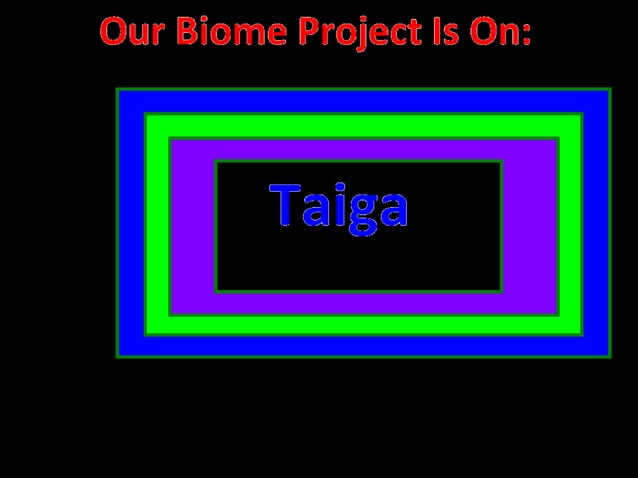 Taiga Report | PPT
