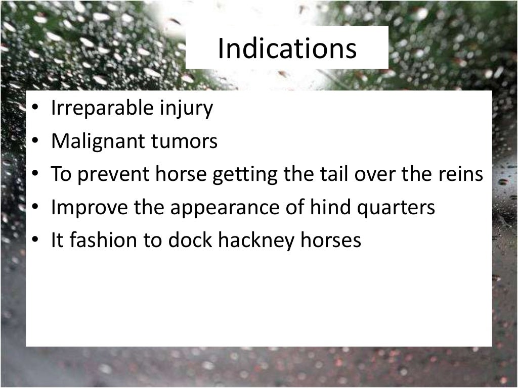 Tail docking in equines