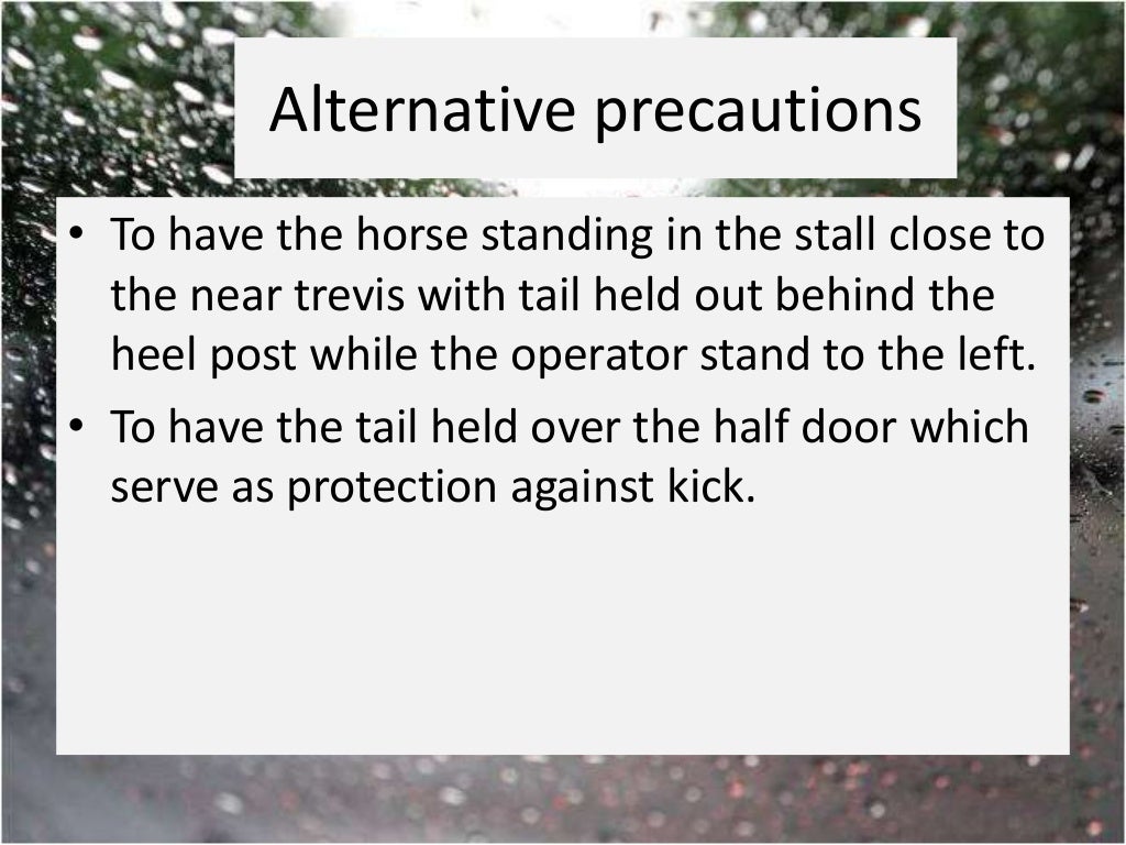 Tail docking in equines