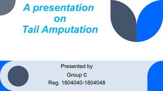 A presentation
on
Tail Amputation
Presented by
Group c
Reg. 1804040-1804048
 