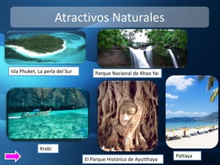 Atractivos Naturales


Isla Phuket, La perla del Sur       Parque Nacional de Khao Yai




             Krabi
                                                                   Pattaya
                                El Parque Histórico de Ayutthaya
 