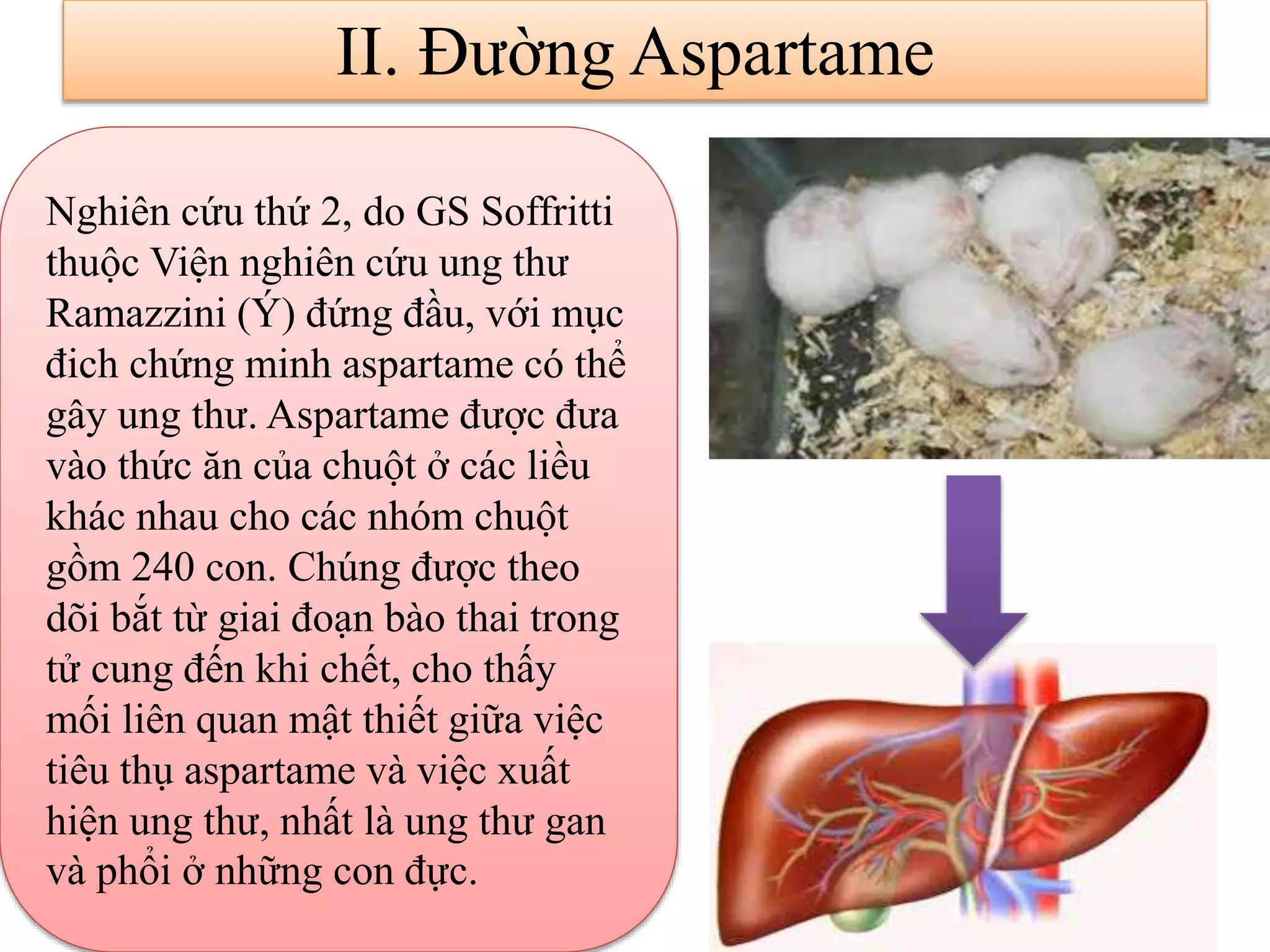 II. Đường Aspartame
Nghiên cứu thứ 2, do GS Soffritti
thuộc Viện nghiên cứu ung thư
Ramazzini (Ý) đứng đầu, với mục
đich chứng minh aspartame có thể
gây ung thư. Aspartame được đưa
vào thức ăn của chuột ở các liều
khác nhau cho các nhóm chuột
gồm 240 con. Chúng được theo
dõi bắt từ giai đoạn bào thai trong
tử cung đến khi chết, cho thấy
mối liên quan mật thiết giữa việc
tiêu thụ aspartame và việc xuất
hiện ung thư, nhất là ung thư gan
và phổi ở những con đực.
 