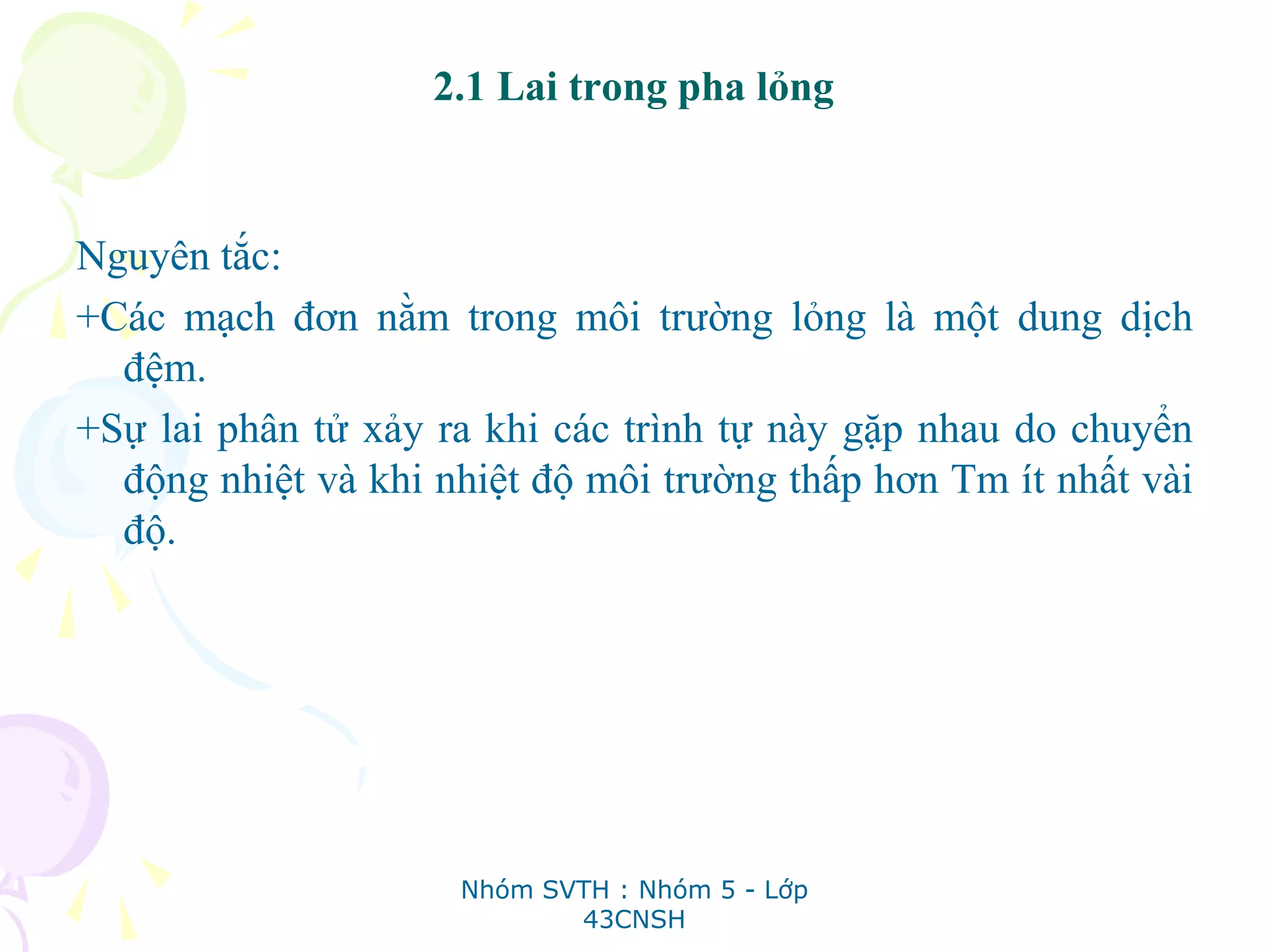 2.1 Lai trong pha lỏng
Nguyên tắc:
+Các mạch đơn nằm trong môi trường lỏng là một dung dịch
đệm.
+Sự lai phân tử xảy ra khi các trình tự này gặp nhau do chuyển
động nhiệt và khi nhiệt độ môi trường thấp hơn Tm ít nhất vài
độ.
Nhóm SVTH : Nhóm 5 - Lớp
43CNSH
 