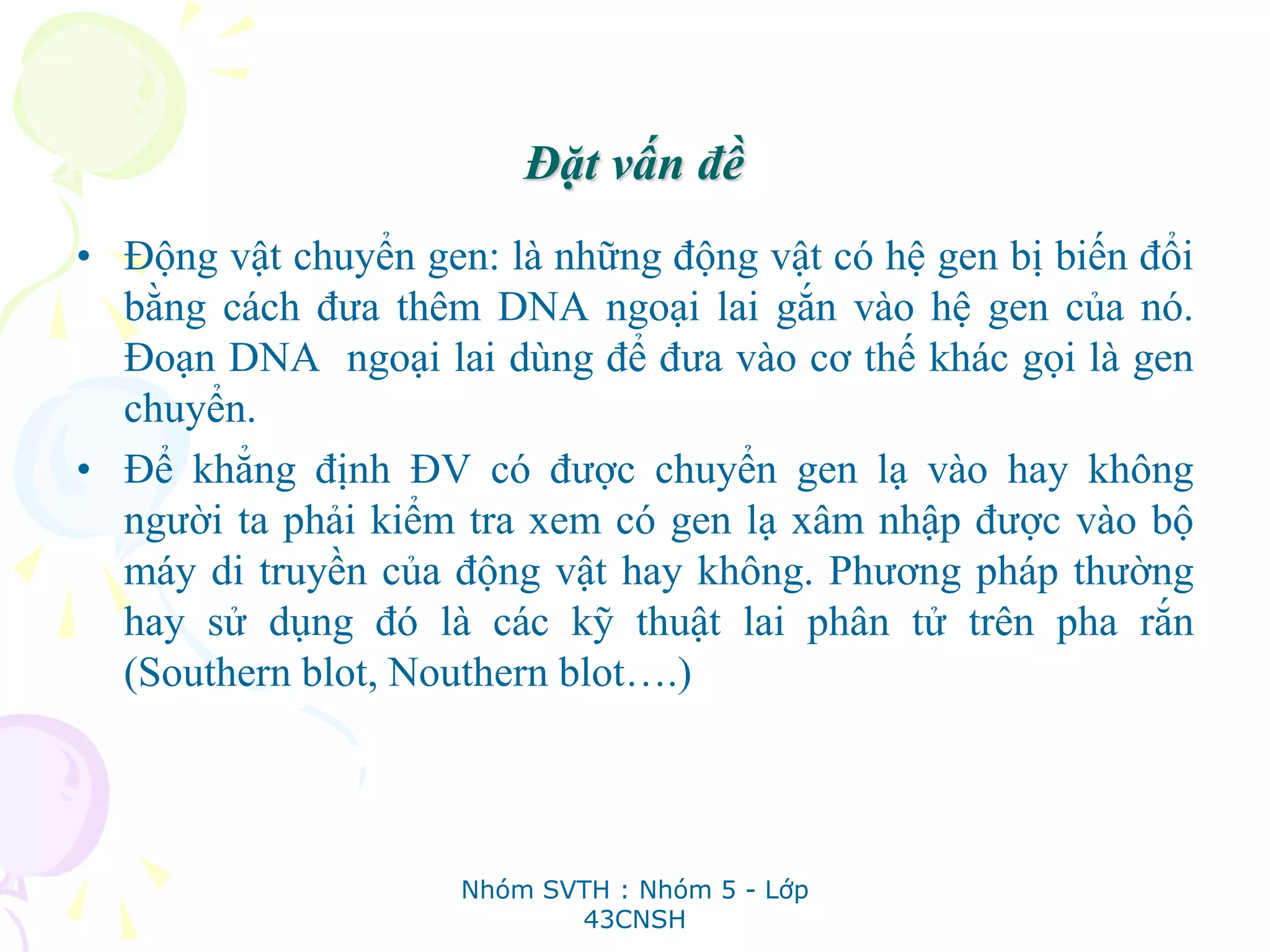 Đặt vấn đề
• Động vật chuyển gen: là những động vật có hệ gen bị biến đổi
bằng cách đưa thêm DNA ngoại lai gắn vào hệ gen của nó.
Đoạn DNA ngoại lai dùng để đưa vào cơ thế khác gọi là gen
chuyển.
• Để khẳng định ĐV có được chuyển gen lạ vào hay không
người ta phải kiểm tra xem có gen lạ xâm nhập được vào bộ
máy di truyền của động vật hay không. Phương pháp thường
hay sử dụng đó là các kỹ thuật lai phân tử trên pha rắn
(Southern blot, Nouthern blot….)
Nhóm SVTH : Nhóm 5 - Lớp
43CNSH
 