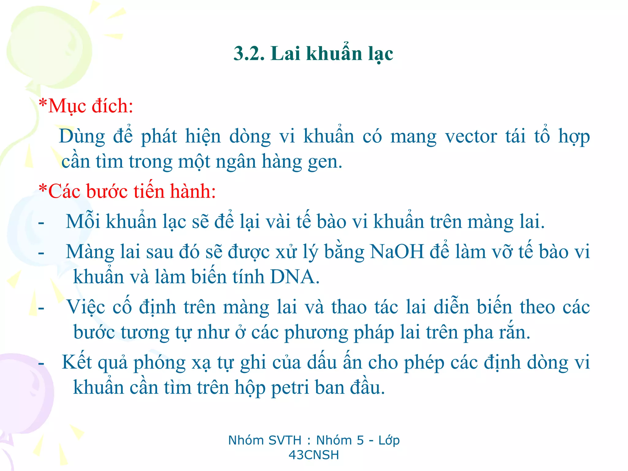 3.2. Lai khuẩn lạc
*Mục đích:
Dùng để phát hiện dòng vi khuẩn có mang vector tái tổ hợp
cần tìm trong một ngân hàng gen.
*Các bước tiến hành:
- Mỗi khuẩn lạc sẽ để lại vài tế bào vi khuẩn trên màng lai.
- Màng lai sau đó sẽ được xử lý bằng NaOH để làm vỡ tế bào vi
khuẩn và làm biến tính DNA.
- Việc cố định trên màng lai và thao tác lai diễn biến theo các
bước tương tự như ở các phương pháp lai trên pha rắn.
- Kết quả phóng xạ tự ghi của dấu ấn cho phép các định dòng vi
khuẩn cần tìm trên hộp petri ban đầu.
Nhóm SVTH : Nhóm 5 - Lớp
43CNSH
 