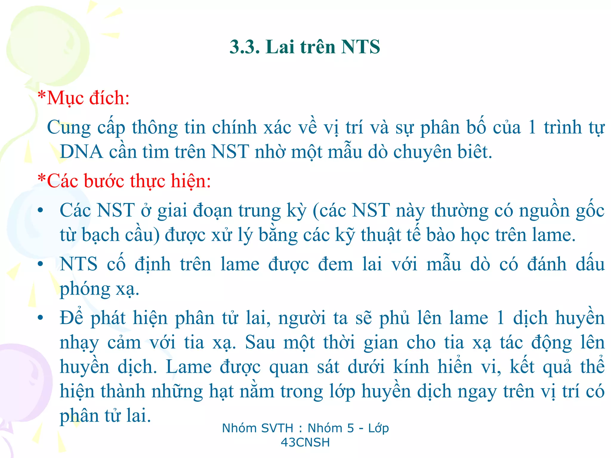 3.3. Lai trên NTS
*Mục đích:
Cung cấp thông tin chính xác về vị trí và sự phân bố của 1 trình tự
DNA cần tìm trên NST nhờ một mẫu dò chuyên biêt.
*Các bước thực hiện:
• Các NST ở giai đoạn trung kỳ (các NST này thường có nguồn gốc
từ bạch cầu) được xử lý bằng các kỹ thuật tế bào học trên lame.
• NTS cố định trên lame được đem lai với mẫu dò có đánh dấu
phóng xạ.
• Để phát hiện phân tử lai, người ta sẽ phủ lên lame 1 dịch huyền
nhạy cảm với tia xạ. Sau một thời gian cho tia xạ tác động lên
huyền dịch. Lame được quan sát dưới kính hiển vi, kết quả thể
hiện thành những hạt nằm trong lớp huyền dịch ngay trên vị trí có
phân tử lai.
Nhóm SVTH : Nhóm 5 - Lớp
43CNSH
 