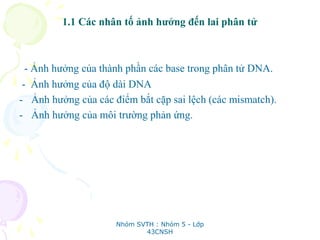1.1 Các nhân tố ảnh hưởng đến lai phân tử
- Ảnh hưởng của thành phần các base trong phân tử DNA.
- Ảnh hưởng của độ dài DNA
- Ảnh hưởng của các điểm bắt cặp sai lệch (các mismatch).
- Ảnh hưởng của môi trường phản ứng.
Nhóm SVTH : Nhóm 5 - Lớp
43CNSH
 