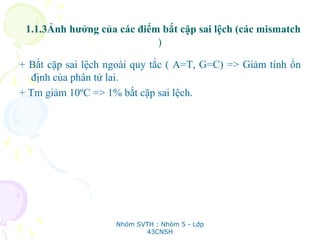 1.1.3Ảnh hưởng của các điểm bắt cặp sai lệch (các mismatch
)
+ Bắt cặp sai lệch ngoài quy tắc ( A=T, G=C) => Giảm tính ổn
định của phân tử lai.
+ Tm giảm 10ºC => 1% bắt cặp sai lệch.
Nhóm SVTH : Nhóm 5 - Lớp
43CNSH
 