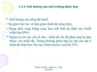 1.1.4 Ảnh hưởng của môi trường phản ứng
* Ảnh hưởng của nồng độ muối:
+ Sự giảm lực ion sẽ làm giảm nhiệt độ nóng chảy.
+ Dung dịch càng loãng càng làm mất tính ổn định của chuỗi
xoắn kép DNA.
* Ngoài ra còn các yếu tố như : nhiệt độ tốc độ phản ứng lai phụ
thuộc vào nhiệt độ. Thông thường phản ứng lai đạt cực đại ở
nhiệt độ thấp hơn Tm của chính nucleic acid đó 25%.
Nhóm SVTH : Nhóm 5 - Lớp
43CNSH
 