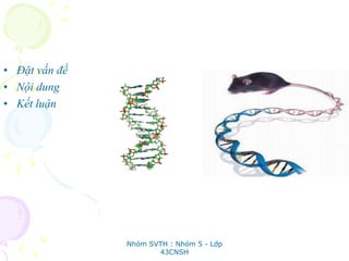 • Đặt vấn đề
• Nội dung
• Kết luận
Nhóm SVTH : Nhóm 5 - Lớp
43CNSH
 