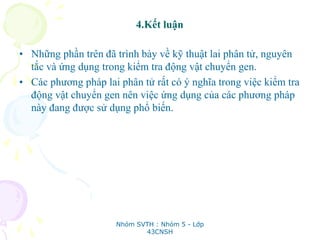 4.Kết luận
• Những phần trên đã trình bày về kỹ thuật lai phân tử, nguyên
tắc và ứng dụng trong kiểm tra động vật chuyển gen.
• Các phương pháp lai phân tử rất có ý nghĩa trong việc kiểm tra
động vật chuyển gen nên việc ứng dụng của các phương pháp
này đang được sử dụng phổ biến.
Nhóm SVTH : Nhóm 5 - Lớp
43CNSH
 