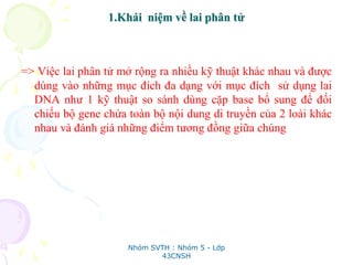1.Khái niệm về lai phân tử
=> Việc lai phân tử mở rộng ra nhiều kỹ thuật khác nhau và được
dùng vào những mục đích đa dạng với mục đích sử dụng lai
DNA như 1 kỹ thuật so sánh dùng cặp base bổ sung để đối
chiếu bộ gene chứa toàn bộ nội dung di truyền của 2 loài khác
nhau và đánh giá những điểm tương đồng giữa chúng
Nhóm SVTH : Nhóm 5 - Lớp
43CNSH
 