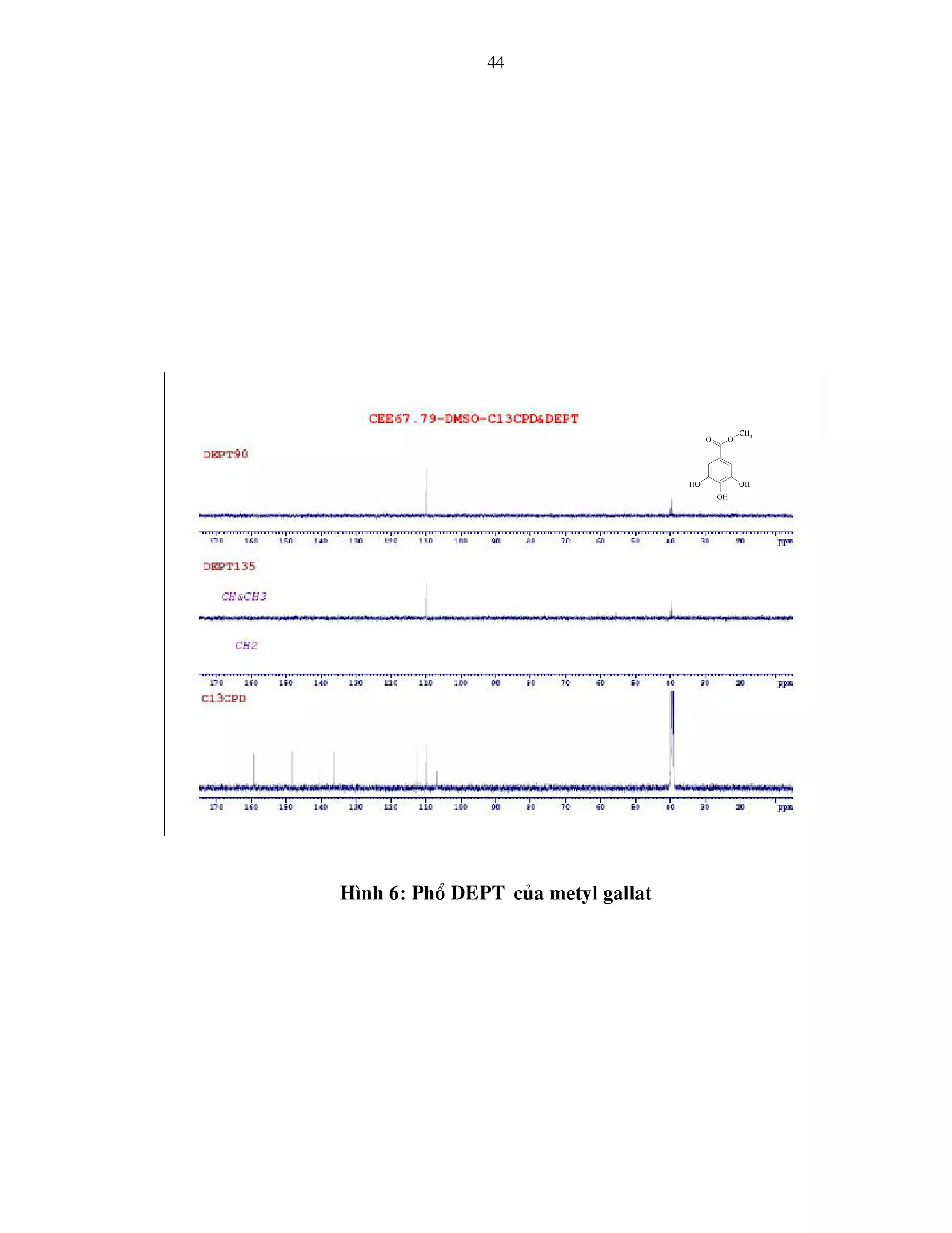 Tailieu.vncty.com nghien cuu thanh phan hoa hoc cua cay hong bi dai