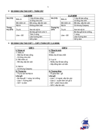 5
 SO SÁNH CẤU TẠO CẤP 1 THÂN CÂY
1 LÁ MẦM 2 LÁ MẦM
Vỏ (1/3)
Biều bì
1 lớp tế bào sống Vỏ (1/3)
Biều bì
1 lớp tế bào sống
có lông che chở có lông che chở
Mô mềm vỏ Mô cứng, xếp lộn xộn Mô mềm vỏ Mô dày, xếp lộn xộn
Nội bì Không phân biệt Nội bì Có khung Caspary
Trung
trụ (2/3) Trụ bì Xen kẻ nội bì
Trung trụ
(2/3) Trụ bì Xen kẻ nội bì
Libe - Gỗ
Bó libe-gỗ hình chữ V
Libe - Gỗ
Bó libe-gỗ là bó chồng
Trên 2 vòng 1 vòng
Libe hướng tâm Libe hướng tâm
Gỗ ly tâm Gỗ ly tâm
 SO SÁNH CẤU TẠO CẤP 1 – CẤP 2 THÂN CÂY 2 LÁ MẦM:
CẤP 1 CẤP 2
I./ Vùng vỏ I./ Tầng bì sinh
1./ Biểu bì 1./ Bần
- Một lớp tế bào sống Nhiều lớp tế bào chết
- Có lông che chở
2./ Mô mềm vỏ 2./ Lục bì
- Mô dày xếp lộn xộn - Nhiều lớp tế bào sống
- Xếp đồng tâm với bần
3./ Nội bì:
- Có khung Caspary
II./ Trung trụ II./ Tượng tầng
- Trụ bì xen kẻ Nội bì - Ở giữa libe - gỗ
Libe-gỗ: Libe-gỗ:
- Bó libe-gỗ: 1 vòng, bó chồng - Libe 1: ở ngoài, xếp lộn xộn
- Libe 1: hướng tâm - Libe 2 : xuyên tâm với gỗ 2
- Gỗ 1: ly tâm - Gỗ 1: phân hóa ly tâm
- Gỗ 2: xếp lộn xộn
 