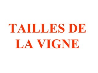 TAILLES DE 
LA VIGNE 
 