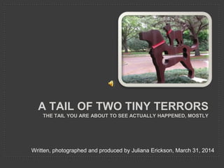A TAIL OF TWO TINY TERRORS
THE TAIL YOU ARE ABOUT TO SEE ACTUALLY HAPPENED, MOSTLY
Written, photographed and produced by Juliana Erickson, March 31, 2014
 