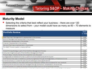 Maturity Model
   Selecting the criteria that best reflect your business – there are over 120
    dimensions to select from – your model could have as many as 60 – 70 elements to
    measure
 