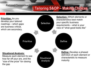 Selection: Which elements or
Prioritize: As you
                                                 characteristics best match
develop your tailored
                                   Selection     your specific business
roadmap – which gaps
                                                 requirements – what is your
are business critical,
                                                 view of “what good looks like”
which are secondary.




                      Prioritize                    Define



                                                     Define: Develop a phased
 Situational Analysis:
                                                     definition of each element or
 Measure each element to see
 how far off your are, and the     Situational       characteristic to measure
 “size of the prize” for closing    Analysis         maturity
 the gap
 