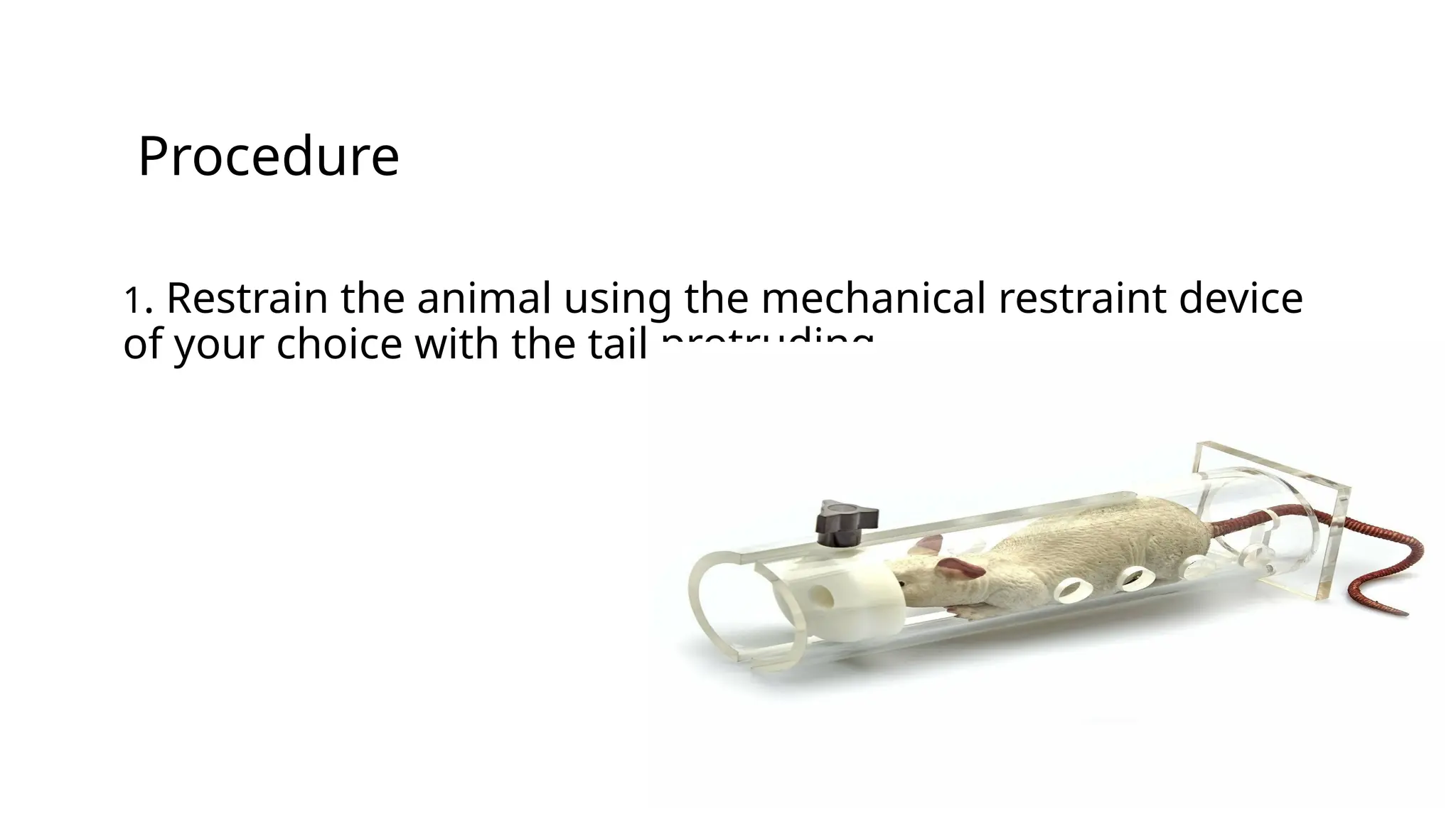 tail vein sampling.pptx clinical pharmacology | PPTX