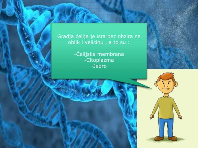 Šta ima svaka ćelija.pptx