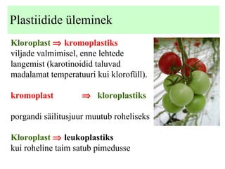 Plastiidide üleminek Kloroplast    kromoplastiks viljade valmimisel, enne lehtede langemist (karotinoidid taluvad madalamat temperatuuri kui klorofüll). kromoplast     kloroplastiks porgandi säilitusjuur muutub roheliseks Kloroplast     leukoplastiks kui roheline taim satub pimedusse 