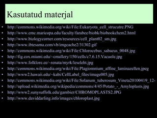 http://commons.wikimedia.org/wiki/File:Eukaryota_cell_strucutre.PNG http://www.emc.maricopa.edu/faculty/farabee/biobk/biobookchem2.html http://www.biologycorner.com/resources/cell_plant02_sm.jpg http://www.ibtesama.com/vb/imgcache2/31302.gif http://commons.wikimedia.org/wiki/File:Chlorocebus_sabaeus_0048.jpg http://fig.cox.miami.edu/~cmallery/150/cells/c7.6.15.Vacuole.jpg   http://www.folklore.ee/~renata/myrk/leseleht.jpg   http://commons.wikimedia.org/wiki/File:Plagiomnium_affine_laminazellen.jpeg http://www2.hawaii.edu/~kabi/CellLabel_files/image005.jpg http://commons.wikimedia.org/wiki/File:Solanum_tuberosum_Vineta20100419_12-2.jpg http://upload.wikimedia.org/wikipedia/commons/4/45/Potato_-_Amyloplasts.jpg   http://www2.sunysuffolk.edu/gambier/CHROMOPLASTS2.JPG   http://www.daviddarling.info/images/chloroplast.jpg   Kasutatud materjal 