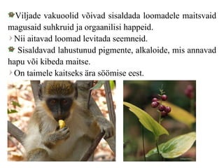 Viljade vakuoolid võivad sisaldada loomadele maitsvaid magusaid suhkruid ja orgaanilisi happeid. Nii aitavad loomad levitada seemneid. Sisaldavad lahustunud pigmente, alkaloide, mis annavad hapu või kibeda maitse.  On taimele kaitseks ära söömise eest. 