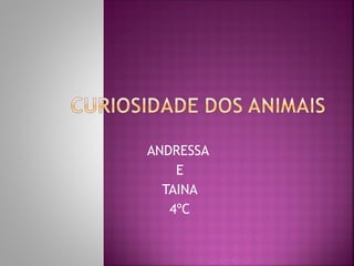 ANDRESSA
    E
  TAINA
   4ºC
 