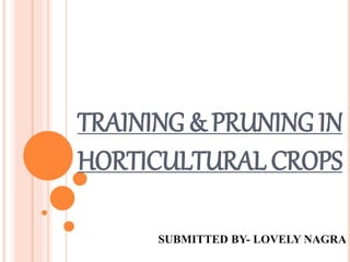 TRAINING & PRUNING IN
HORTICULTURAL CROPS
SUBMITTED BY- LOVELY NAGRA
 