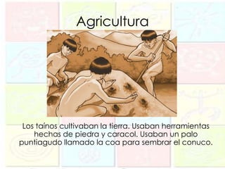 Agricultura




 Los taínos cultivaban la tierra. Usaban herramientas
    hechas de piedra y caracol. Usaban un palo
puntiagudo llamado la coa para sembrar el conuco.
 