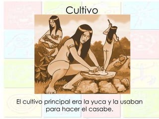 Cultivo




El cultivo principal era la yuca y la usaban
           para hacer el casabe.
 