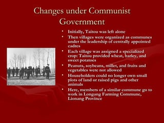 Changes under Communist Government Initially, Taitou was left alone Then villages were organized as communes under the leadership of centrally appointed cadres Each village was assigned a specialized crop: Taitou provided wheat, barley, and sweet potatoes Peanuts, soybeans, millet, and fruits and vegetables were not allowed Householders could no longer own small plots of land or raised pigs and other animals Here, members of a similar commune go to work in Longang Farming Commune, Lionang Province 