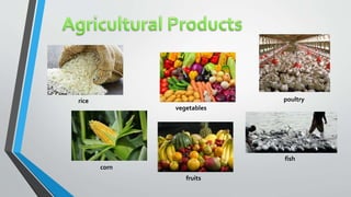 rice
corn
vegetables
fruits
poultry
fish
 