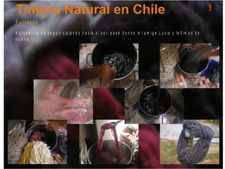 R a n c a g u a
A p r o v e c h é d e s e g u ir v ia ja n d o h a c ia e l s u r, p a s é d o n d e m i a m ig a L u c ia y t e ñ im o s d e
n u e v o .
9
 