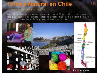 C o n c e p c ió n - C h ig u a y a n t e - C a u q u e n e s
S e g u í h a c ia e l s u r, p a s e a v is it a r a o t r o s a r t e s a n o s e n C h ig u a y a n t e c e r c a d e C o n c e p c ió n ,
p a s é a C a u q u e n e s a b u s c a r la n a s , e n c o n t r é c o r d o n e s g r u e s o s . M e lle v a r o n a v is it a r la s
t ie n d a s q u e v e n d e n lin o e n T o m e y e n c o n t r é d e s e c h o s d e s e d a .
1 0
 