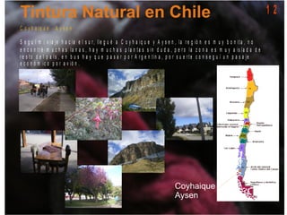 1 2
C o y h a iq u e - A y s e n
S e g u í m i v ia je h a c ia e l s u r, lle g u é a C o y h a iq u e y A y s e n , la r e g ió n e s m u y b o n it a , n o
e n c o n t r é m u c h a s la n a s , h a y m u c h a s p la n t a s s in d u d a , p e r o la z o n a e s m u y a is la d a d e
r e s t o d e l p a í s , e n b u s h a y q u e p a s a r p o r A r g e n t in a , p o r s u e r t e c o n s e g u í u n p a s a je
e c o n ó m ic o p o r a v ió n .
 