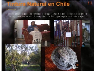 1 3
R a n c a g u a
V o lv í a R a n c a g u a , p a s a n d o p o r t o d a s la s e t a p a s : A n g e lm ó , d o n d e m i a m ig o m e o f r e c ió
v e n ir a a y u d a r le c o n s u lo c a l, C o n c e p c ió n . . . E n R a n c a g u a s e g u im o s t iñ e n d o y t e jie n d o .
 