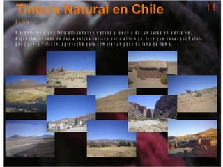 1 5
B o liv ia
M e in v it a r o n a u n a f e r ia a r t e s a n a l e n P a r a n á y lu e g o a d a r u n c u r s o e n S a n t a F e ,
A r g e n t in a , e l p a s o d e J a m a e s t a b a c e r r a d o p o r m a l t ie m p o , t u v e q u e p a s a r p o r B o liv ia
p o r U y u n i y V illa z ó n , a p r o v e c h é p a r a c o m p r a r u n p o c o d e la n a d e lla m a .
 