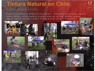 1 7
S a n t a F e - L a E s q u in a E n c e n d id a
C a d a d í a s e s a c a b a lo s t e ñ id o s d e l d í a a n t e r io r e n la m a ñ a n a y s e p o n í a n e n m a r c h a
n u e v o s t e ñ id o s , h ic im o s b a s t a n t e p r u e b a s h a s t a c o n c o n c h a s , p u n t illa s , p lu m a s . . .
a lg u n a s t r a je r o n s u s t e la s o t e jid o s . H ic im o s p r u e b a s c o n lo s m o d if ic a d o r e s .
 