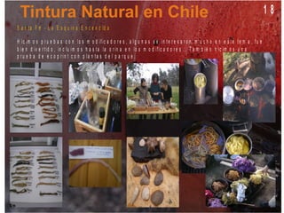 1 8
S a n t a F e - L a E s q u in a E n c e n d id a
H ic im o s p r u e b a s c o n lo s m o d if ic a d o r e s , a lg u n a s s e in t e r e s a r o n m u c h o e n e s t e t e m a , f u e
b ie n d iv e r t id o , in c lu im o s h a s t a la o r in a e n lo s m o d if ic a d o r e s . . . T a m b ié n h ic im o s u n a
p r u e b a d e e c o p r in t c o n p la n t a s d e l p a r q u e .
 