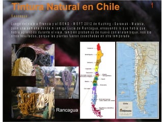 R a n c a g u a
L u e g o d e l v ia je a F r a n c ia y a l I S E N D - W E F T 2 0 1 2 d e K u c h in g - S a r a w a k - M a la s ia ,
p a s é u n a s e m a n a d o n d e m i a m ig a L u c ia d e R a n c a g u a , e n s a y a n d o lo q u e h a b í a q u e
h a b í a a p r e n d id o d u r a n t e e l v ia je , t a m b ié n p r o b a m o s d e n u e v o c o n e l a la m b iq u e , n o s d io
o t r o s r e s u lt a d o s , p o r q u e la s p la n t a s f u e r o n c o s e c h a d a s e n o t r a t e m p o r a d a .
1
 