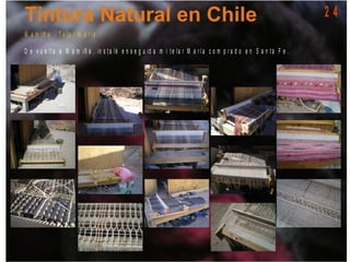 M a m iñ a - T e la r M a r í a
D e v u e lt a a M a m iñ a , in s t a lé e n s e g u id a m i t e la r M a r í a c o m p r a d o e n S a n t a F e .
2 4
 