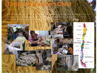 C u r s o P ic a
U n a a m ig a o r g a n iz ó u n c u r s o d e t e ñ id o y d e t e la r c o n u n g r u p o d e a y m a r a s e n P ic a , f u e
u n p r o y e c t o , s e le r e g a la b a a c a d a p a r t ic ip a n t e u n t e la r M a r í a , u n b a s t id o r d e c la v o s ,
u n o s k ilo s d e la n a a s í q u e u n in f o r m e - r e s u m e n d e l c u r s o .
2 6
 