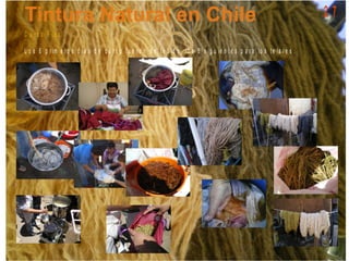 C u r s o P ic a
L o s 6 p r im e r o s d í a s d e c u r s o f u e r o n d e t e ñ id o , lo s 6 s ig u ie n t e s p a r a lo s te la r e s .
2 7
 