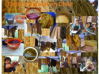 C u r s o P ic a
2 8
 