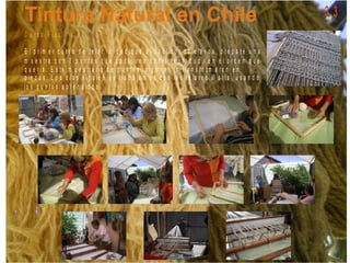 C u r s o P ic a
E l p r im e r c u r s o d e t e la r, lo d e d iq u é a l b a s t id o r d e c la v o s , p r e p a r é u n a
m u e s t r a c o n 8 p u n t o s q u e c a d a u n a d e b í a r e p r o d u c ir e n e l o r d e n q u e
q u e r í a . E s t e m u e s t r a r io d e p u n t o s , a lg u n a s lo t r a n s f o r m a r o n e n
p ie z a s . L o s d í a s s ig u ie n t e s t r a b a ja m o s c o n lo s t e la r e s M a r í a , u s a n d o
lo s p u n t o s a p r e n d id o s .
3 3
 