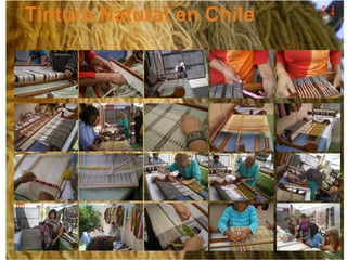 C u r s o P ic a
3 4
 