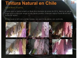 P u e r t o M o n t t - A n g e lm ó
V ie n d o q u e n o h a b í a t u r is m o e n M a m iñ a a m e d ia d o d e e n e r o d e 2 0 1 4 , lla m é a m i a m ig o
A n g e l q u e m e d ijo q u e v e n g a lo m á s r á p id o p o s ib le . E n t o n c e s v ia jé a P u e r t o M o n t t c o n
b u lt o s d e t e jid o s .
A llí m e p u s é a t e ñ ir c o n p la n t a s lo c a le s , c o n a s e r r í n d e a le r c e , c o n c o c h in illa .
3 6
 